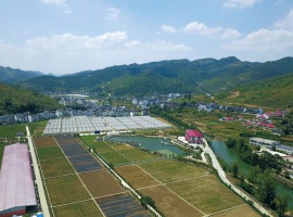 仁怀市“贵州茅台流域东升农场”项目
