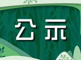 公示